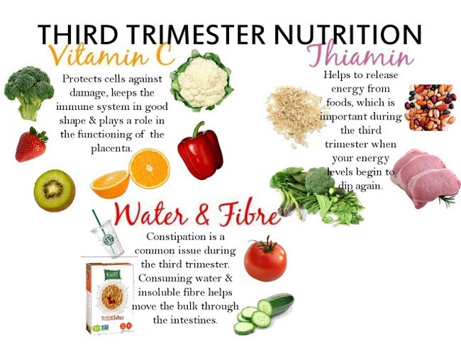 2 Trimester Pregnancy Diet