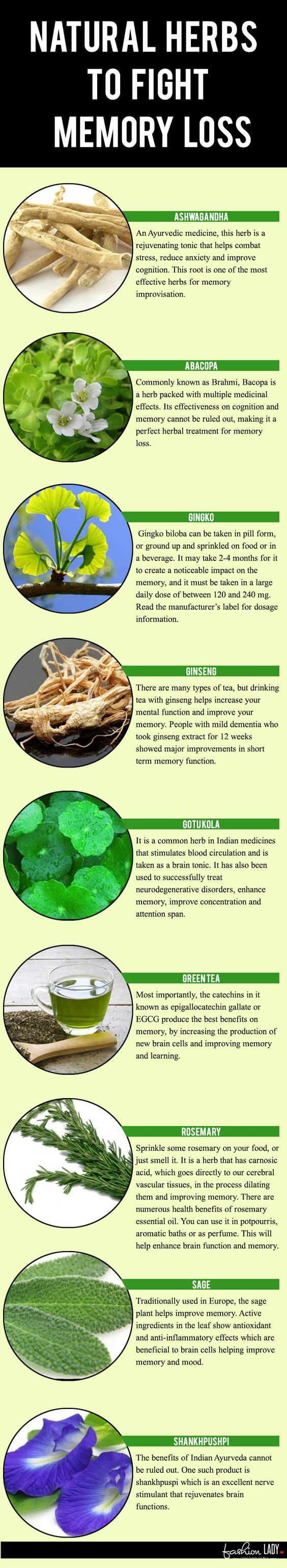 Dont Miss Out The Herb Everyones Using To Fight Memory Loss - ybnq4yp