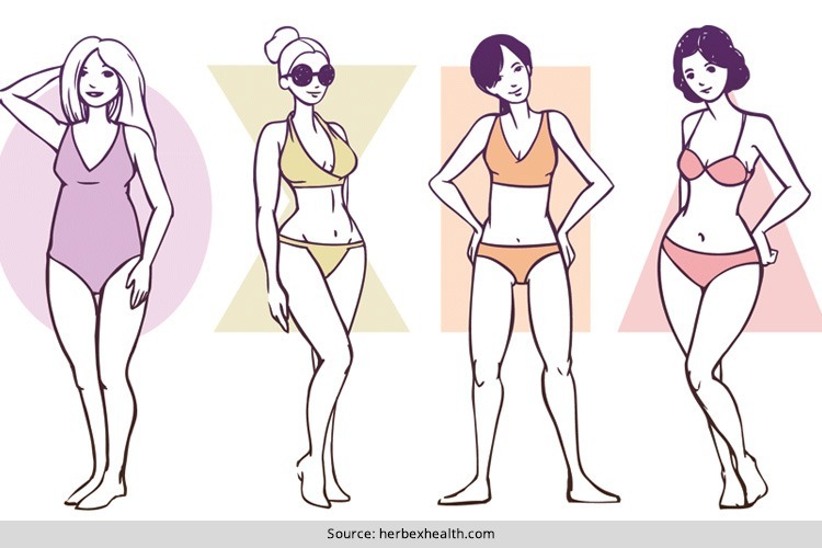 Lingerie For Body Type