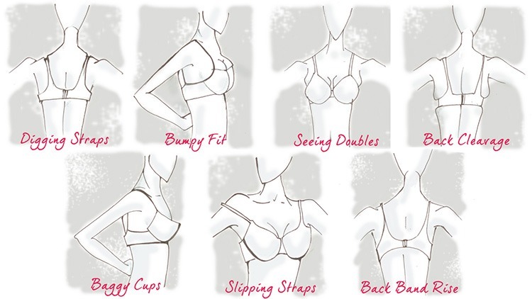 Girl Guide How To Measure Bra Size 