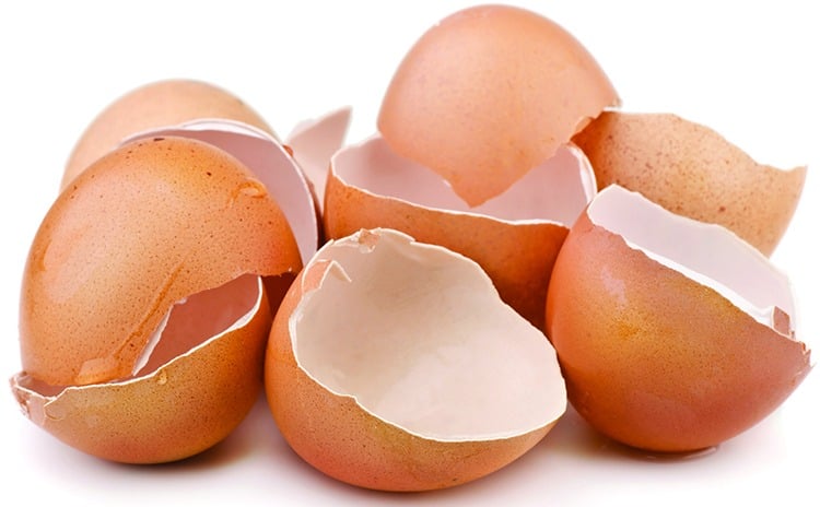 Egg Shell Membrane