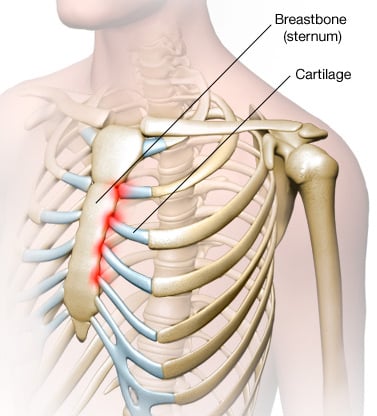 What organ is under the right ribcage?