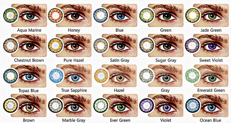 Eye Color Trait Chart