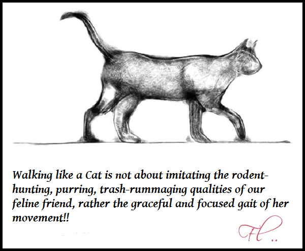 walk-like-a-cat-catwalk walk-like a cat catwalk