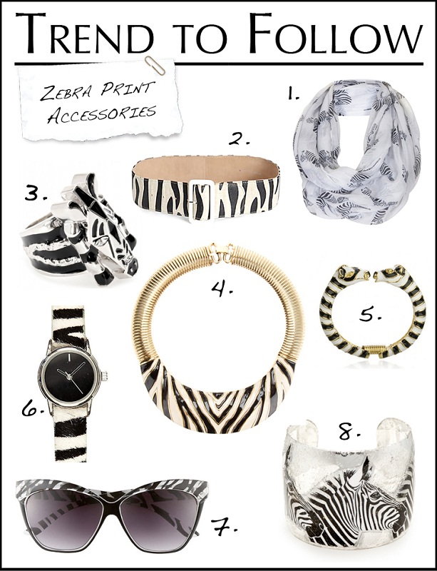 zebra print accessories