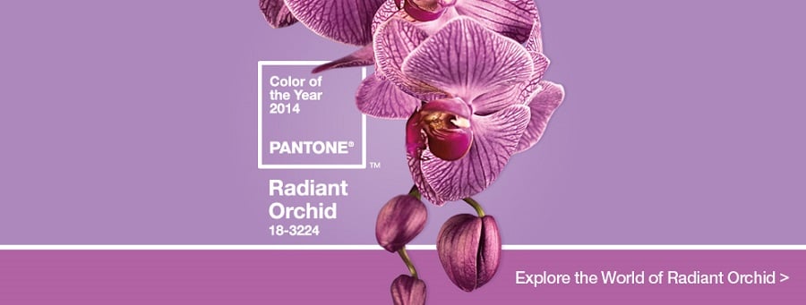 radiant orchid pantone color 2014