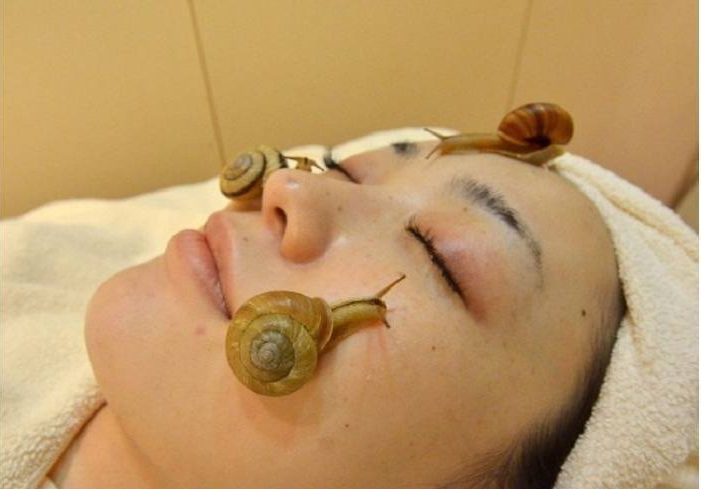 Snail masque