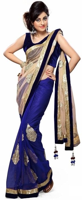 Bollywood style blue net saree with cream pallu and heavy embroidery work border