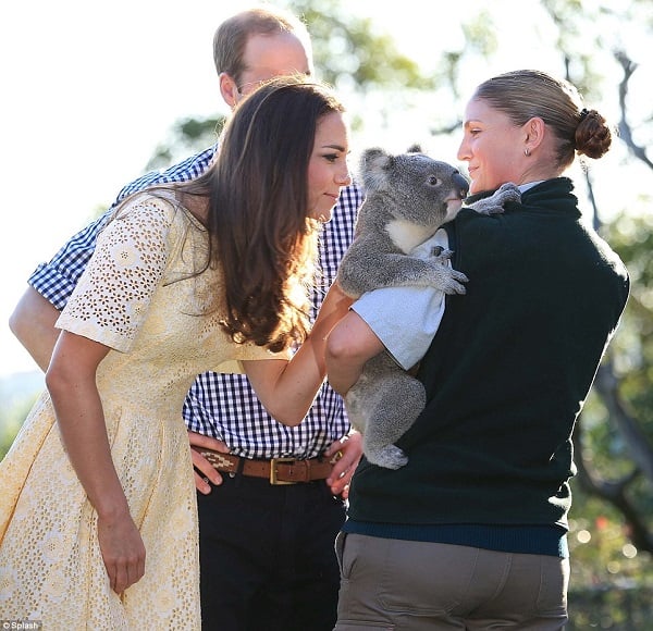 kate-middleton-royal-tour-koala