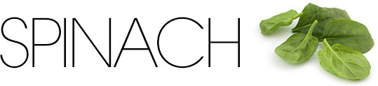 spinach raw food spinach raw food
