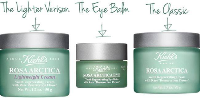 Rosa Arctica Lightweight Cream