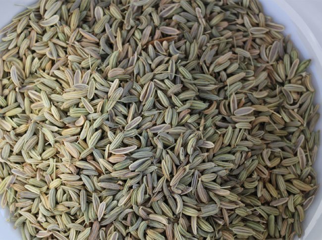 Fennel Seeds