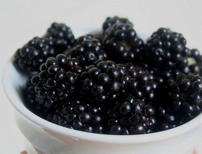 blackberries