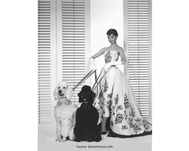 Audery-Hepburn---The-Fashion-Icon