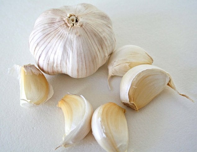 Garlic