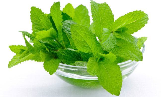 Mint Leaves for ear pain