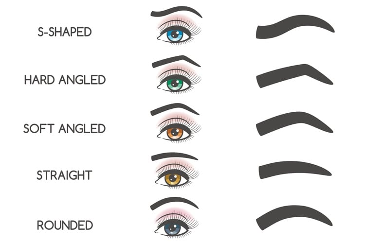 Different Types of Eyebrows