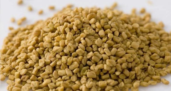 fenugreek seeds