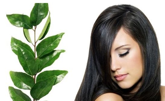 6 Natural Ways to Cover Grey Hair – Keep the Chemical Hair Dyes Away!