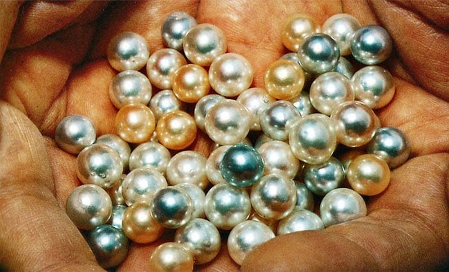 cultured pearls