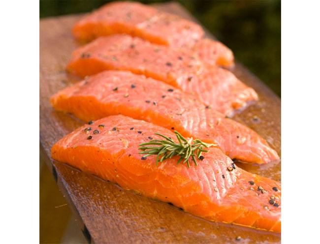 Salmon