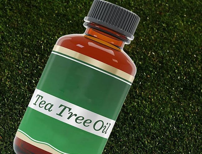 TEA-TREE-OIL