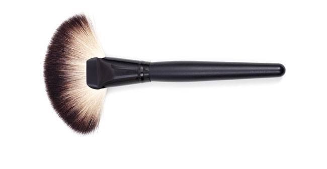 fan Powder brush