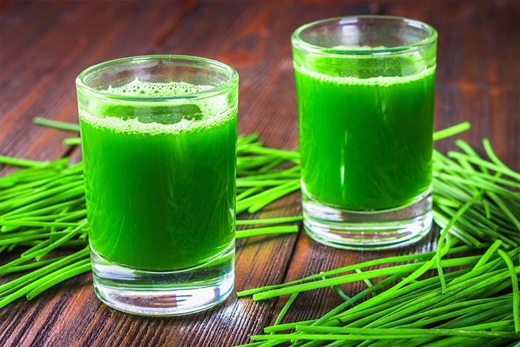 Wheatgrass