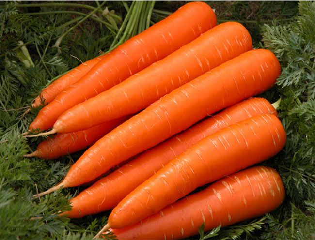 Carrot face pack