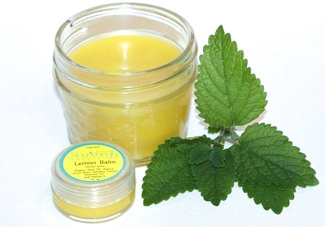 Lemon balm tea for cold sores