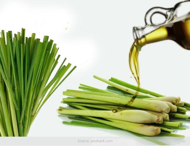 Benefits of Lemongrass Oil on Skin