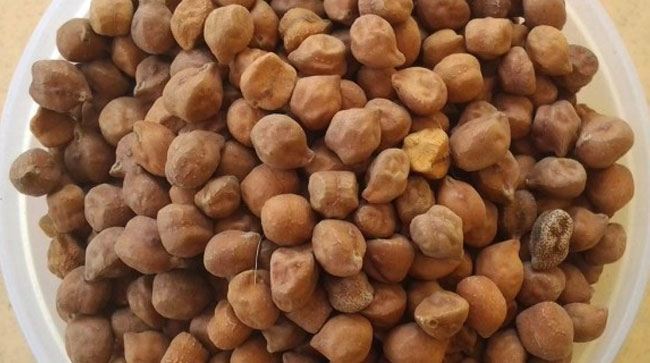 Bengal gram chickpeas