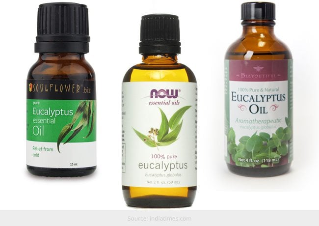 Eucalyptus Oil for Beauty and Health