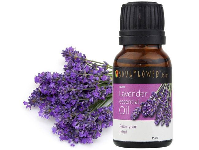 Lavender Oil