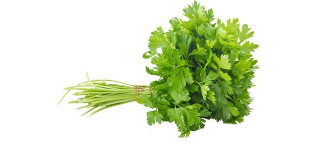 Parsley