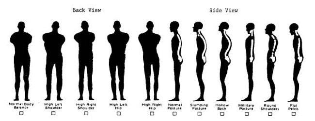 Posture and Height