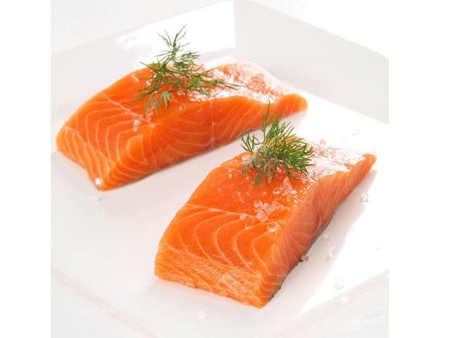 Salmon