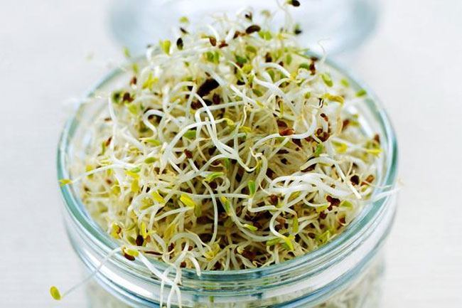 Sprouts with Vegetables