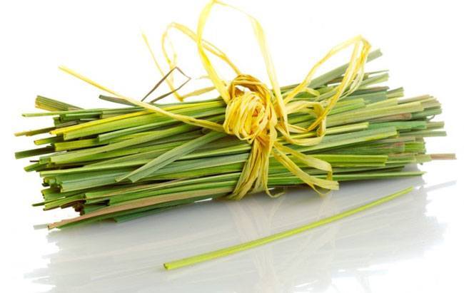 Uses of lemongrass oil