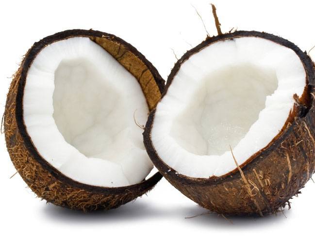 coconuts