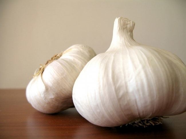 garlic