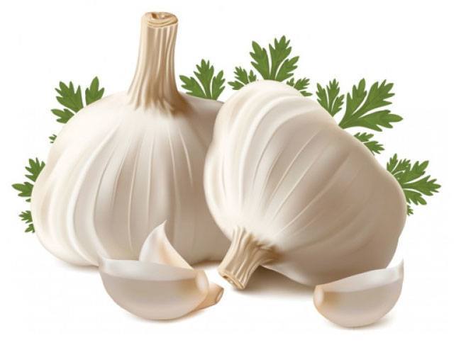 garlic