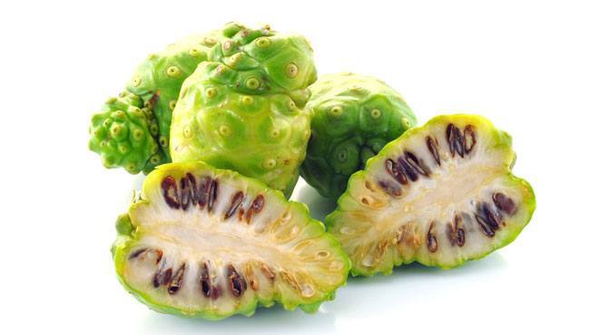 noni fruit