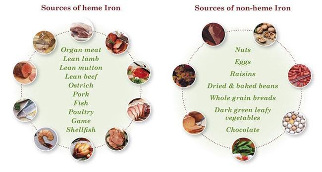 Here are top 5 iron rich foods you must have when pregnant