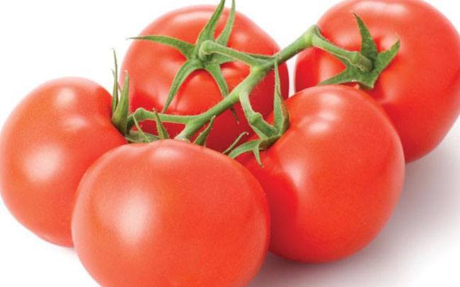 tomatoes