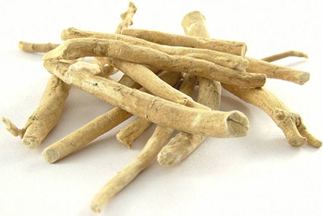 Ashwagandha as Natural Medicine For Memory Loss