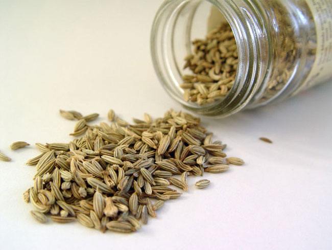 Chew fennel seeds