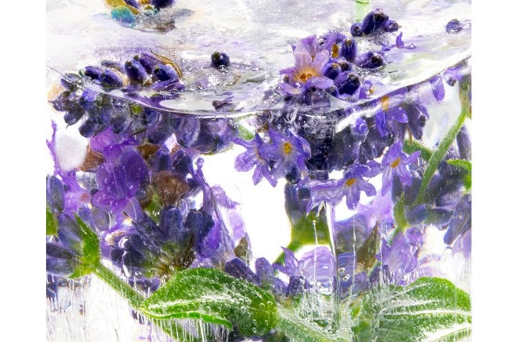 Glowing Skin With Lavender ice cubes