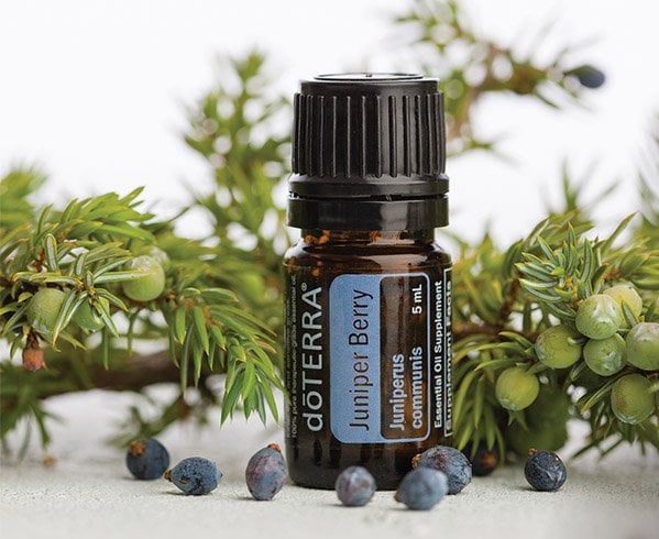 Juniper Oil Benefits