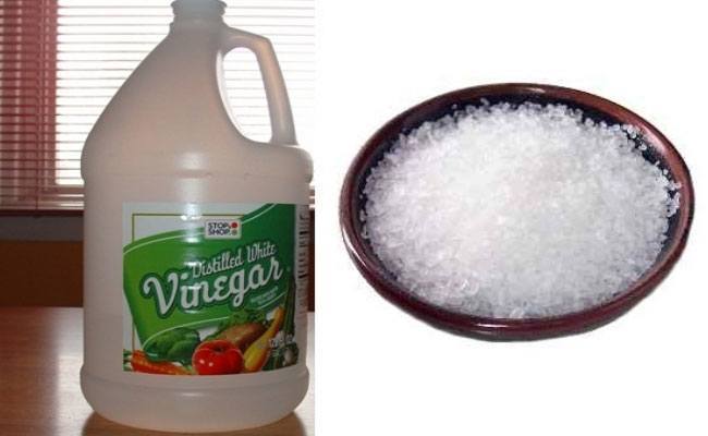 Salt and White Vinegar